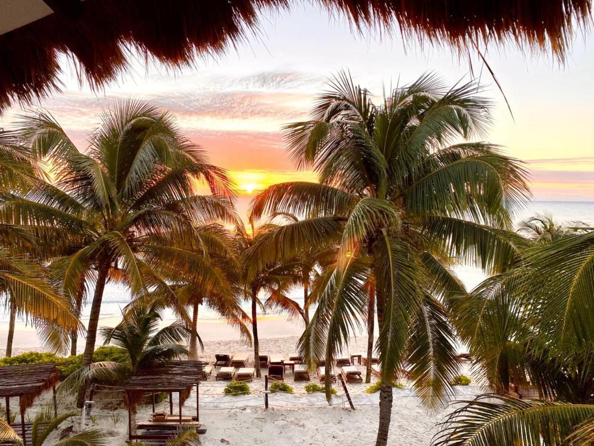 Selina Shared Los Lirios Tulum Exteriér fotografie